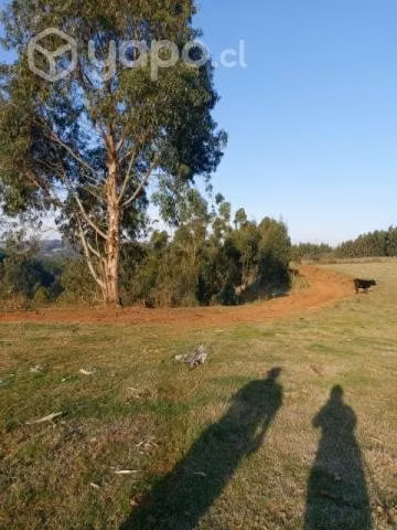 Se vende Campo de 3 hectáreas