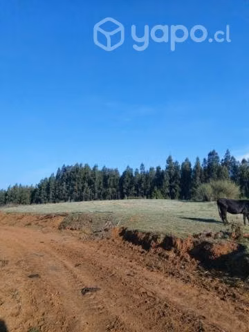 Se vende Campo de 3 hectáreas