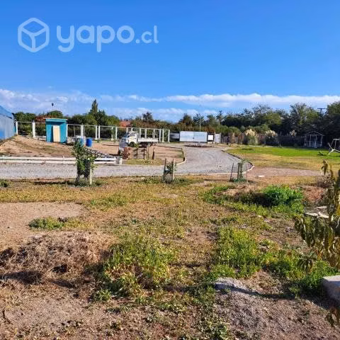 Vendo parcela en peñaflor - Imagen 7
