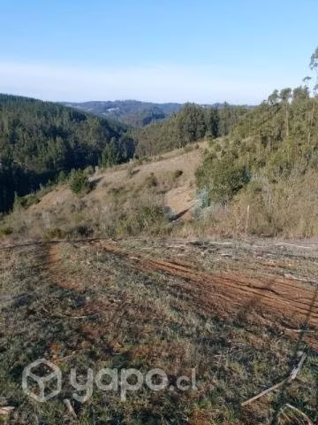 Se vende Campo