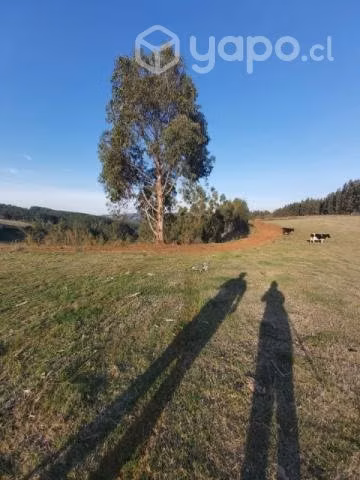 Se vende Campo