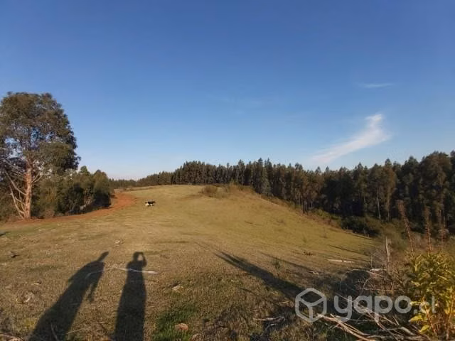 Se vende Campo