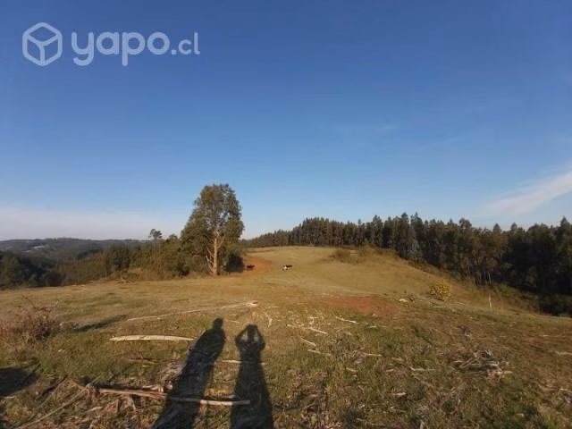Se vende Campo