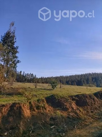 Se vende Campo