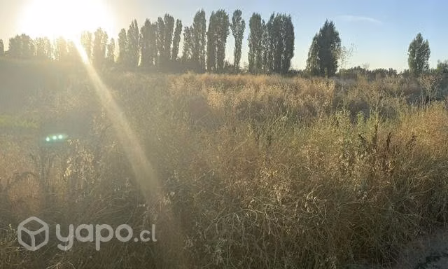 Terreno Media Hectárea con agua y luz