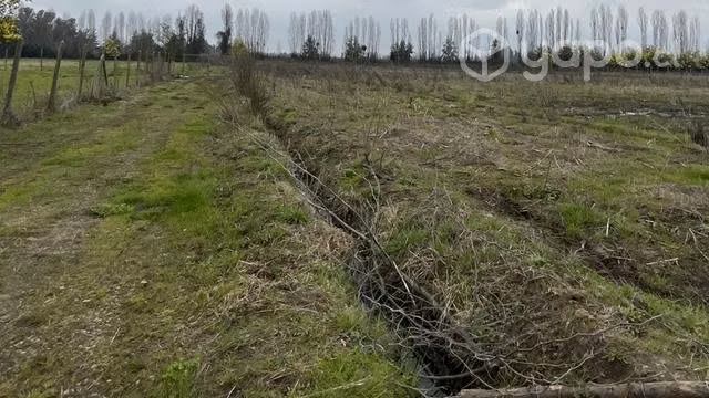 Terreno Media Hectárea con agua y luz