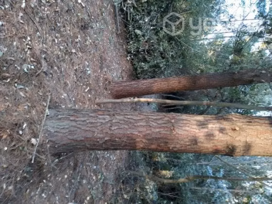 Vendo parcela 1 hectárea