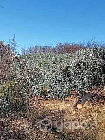Se vende terreno en tolpan