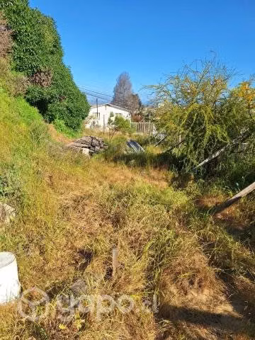 Venta Terreno - Imagen 6