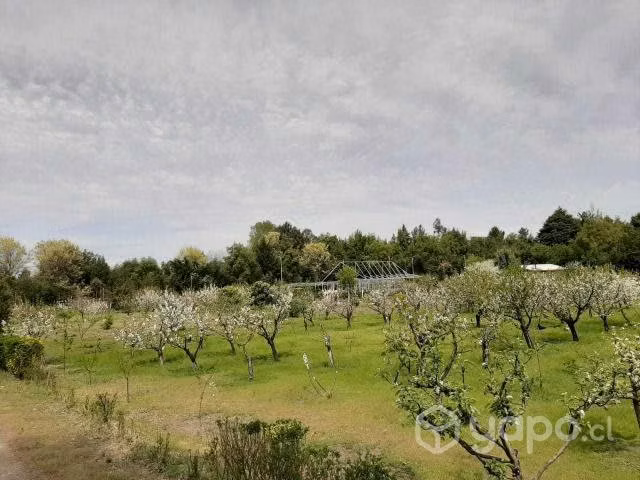 Magnífica Parcela Camino a Cerro Negro, en Quillón
