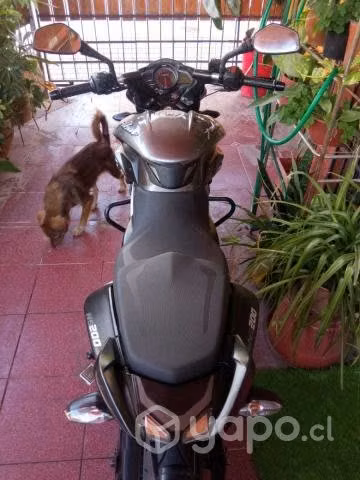 Bajaj ns 2021