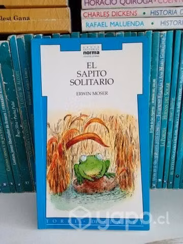 El Sapito Solitario - Erwin Moser