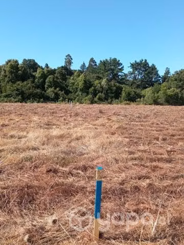 Venta de terrenos