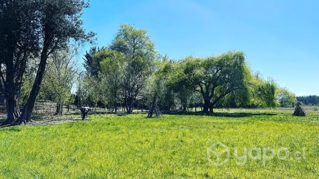 Vendo Parcela con casa - Imagen 3