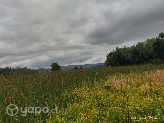 Arriendo cabaña marzo diciembre Valdivia - Imagen 7