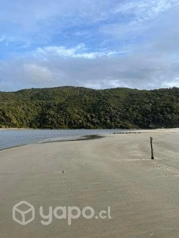Sitio cerca