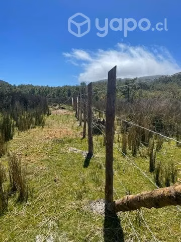 Sitio cerca