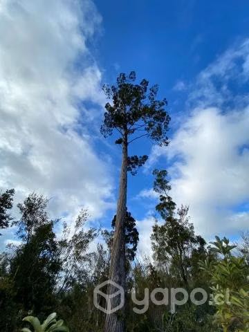 Se vende hermoso campo de 8,5 ha con esteros de ri