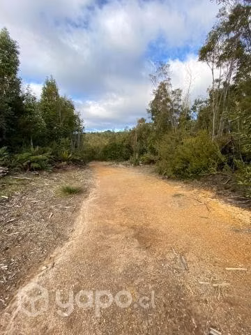 Se vende hermoso campo de 8,5 ha con esteros de ri