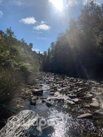 Se vende hermoso campo de 8,5 ha con esteros de ri