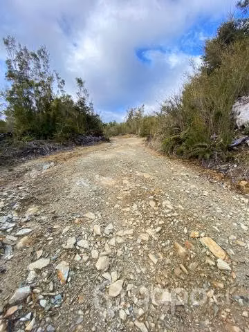 Se vende hermoso campo de 8,5 ha con esteros de ri