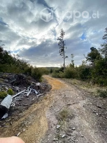 Se vende hermoso campo de 8,5 ha con esteros de ri