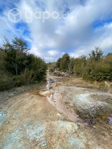 Se vende hermoso campo de 8,5 ha con esteros de ri