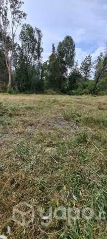 Terreno parcela Valdivia