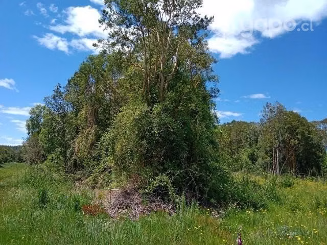 Terreno parcela Valdivia