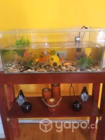 Pecera + mueble + peces + accesorios - Imagen 2