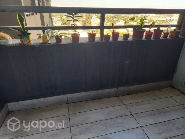 Arriendo acogedor Dpto. en calle Coronel Souper - Imagen 5