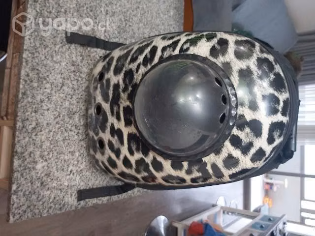 Artículos de mascotas (gatos) - Imagen 3