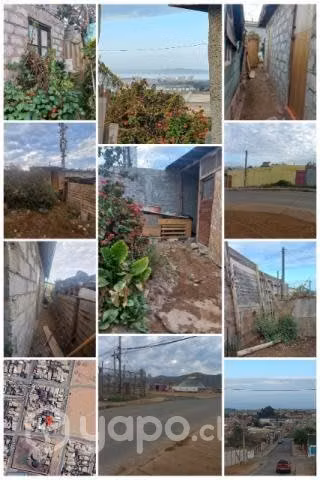 Sitio en el sector de las compañias