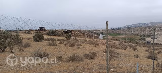El mejor terreno en tongoy con vista al humedal