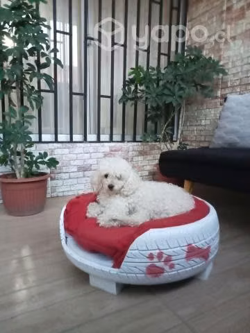 Vendo camitas para mascotas hechas con neumáticos