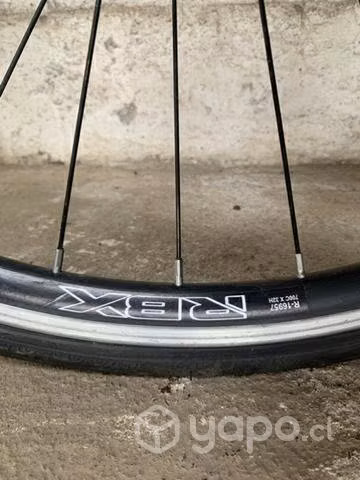 Bicicleta pistera