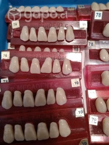 Dientes acrilicos
