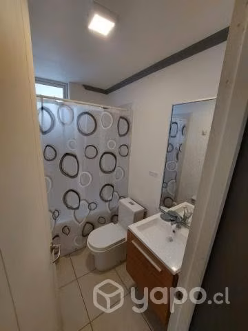 Arriendo departamento año corrido