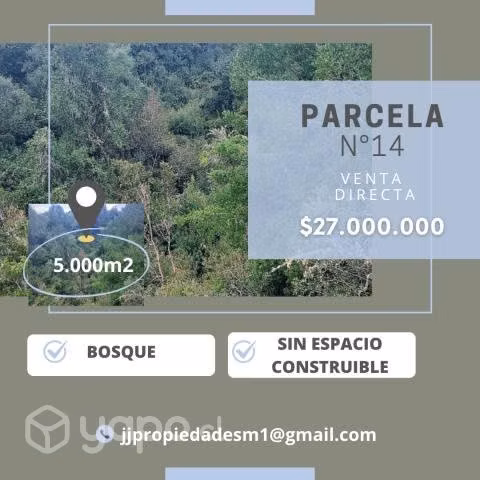 SE VENDE PARCELA 5000m2 / Trumao - La Unión