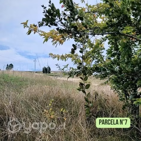 Parcela en venta / Trumao - La Unión