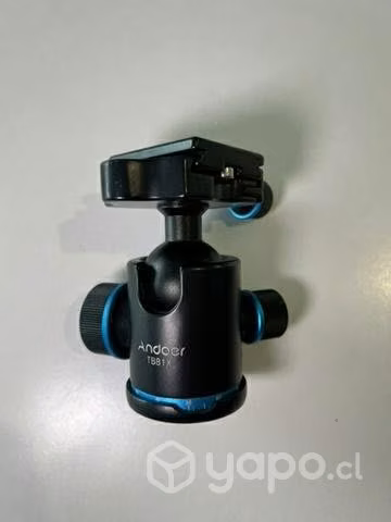 Cabezal para trípode