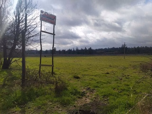 Campo - Imagen 3