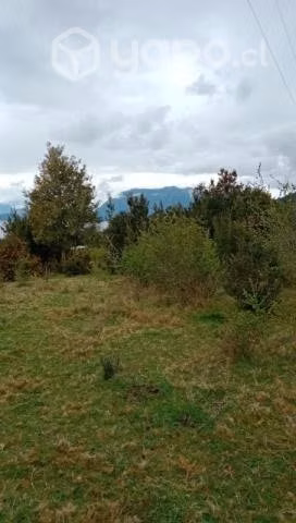Venta de campo