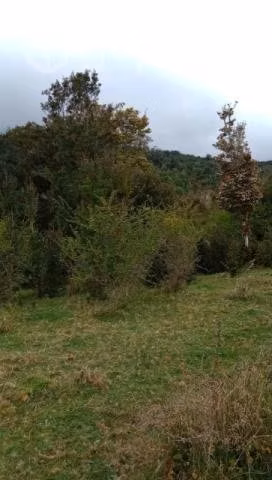 Venta de campo