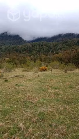 Venta de campo