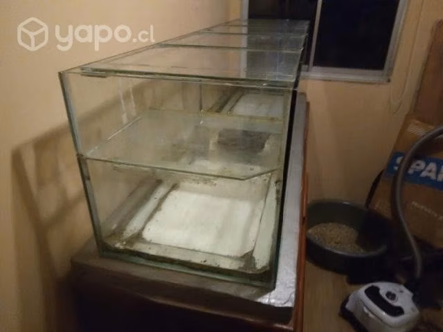 Terrario Acuario Tortuguero Doble Con División Y P