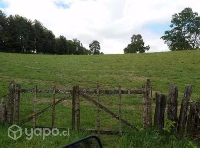 Precioso campo a 15 km de Villarrica