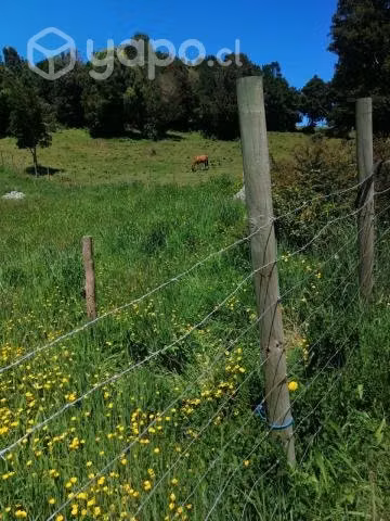 Terreno 2 hectareas Rio Blanco coihueco