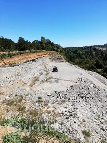 Terreno 2 hectareas Rio Blanco coihueco