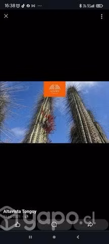 Hermosa parcela 5000 metros cuadrados